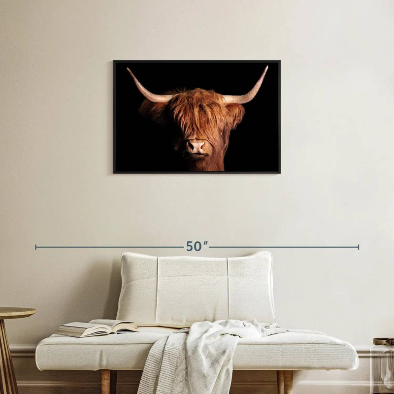 Brampt Highland Scottish Cow, H 21 po x l 31 po