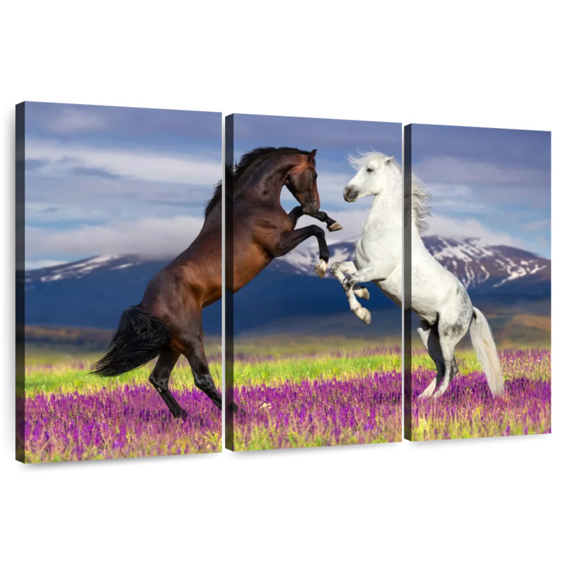 Chevaux ludiques, H 28 po x l 45 po