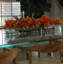 Driftwood Cymbidium Orchids Centerpiece in Glass Planter-1216674880-1216674881