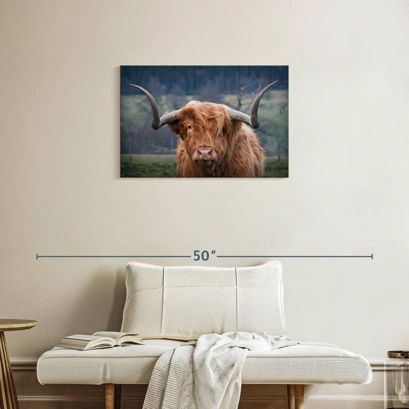 Brampt Wooly Highland Cow, H 20 po x l 30 po