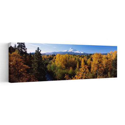 Coton, arbres dans une forêt, Mont Hood, rivière Hood, forêt nationale du Mont Hood, Oregon, États-Unis, art mural abstrait paysage forestier contemporain