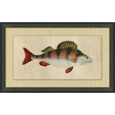 Fish Study 4 Painting