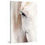 Wrapped Canvas Print-17553972