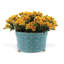 Dynasty Center Basin-1530202396