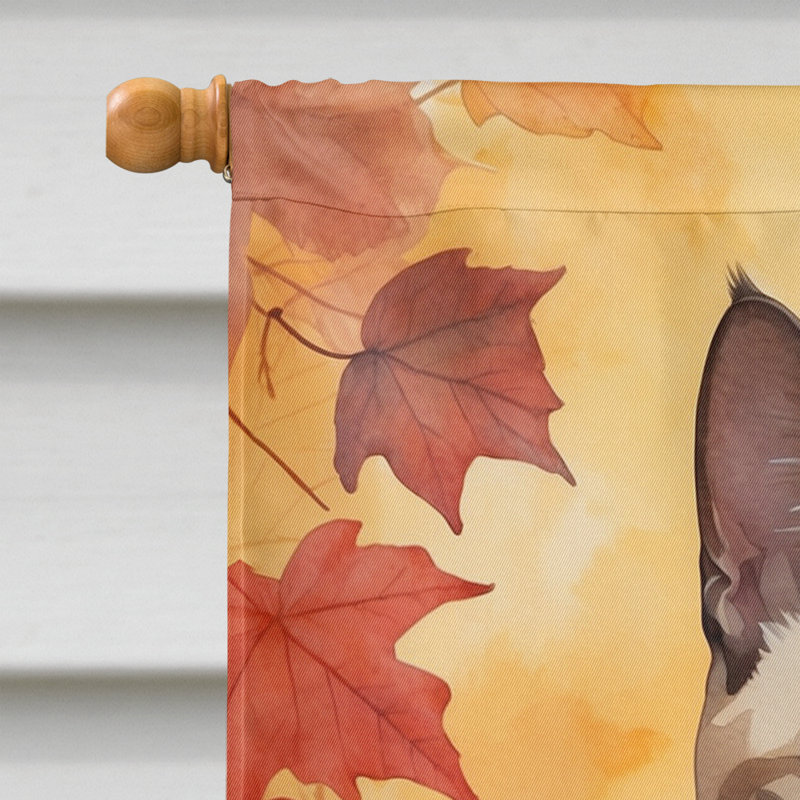 Chat en feuilles d'automne, Tonkinois