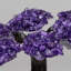 Medium Amethyst Clustered Gemstone Tree on Amethyst Matrix (The Protection Tree)