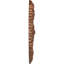 Médaillon Endurathane Acanthus Twist-28579414