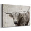 Toile tendue Longhorn-1513808426