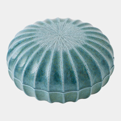 Urchin Decorative Box