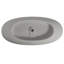 Baignoire de trempage autoportante de luxe solide gris mat 65 po, posture de corps confortable, baignoire de trop-plein à installation de drain de surface efficace, teinte, conception ergonomique, fonction de drainage en douceur