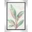 Gingembre II - reproduction d'art-55541999-55542010