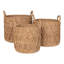 17 Stories Amiee Seagrass Decorative Basket