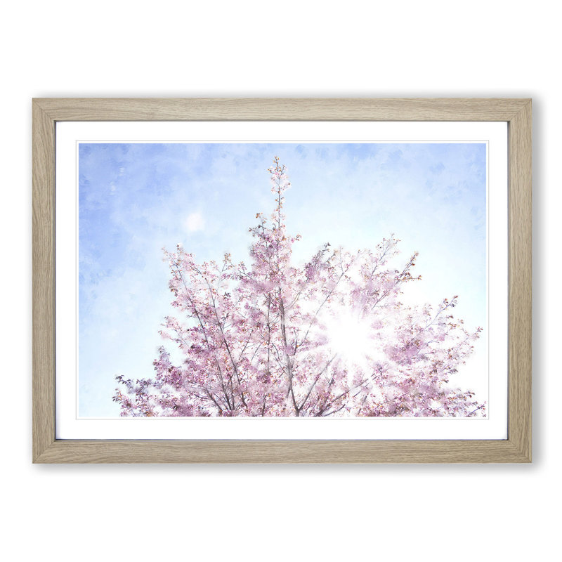 Pink Japanese Cherry Tree in Spring - Picture Frame Graphic Art Print, 33cm H x 45cm W x 2cm D, Oak
