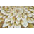 Rakhi Floral Indoor Rug-1743345006