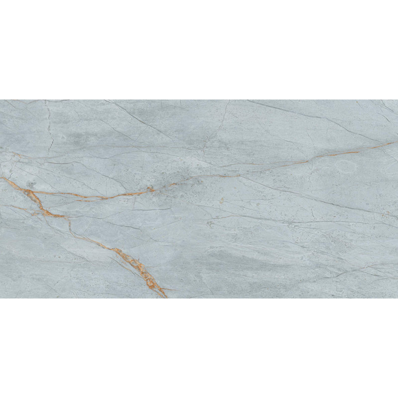 Carreau de porcelaine bleu 24x48