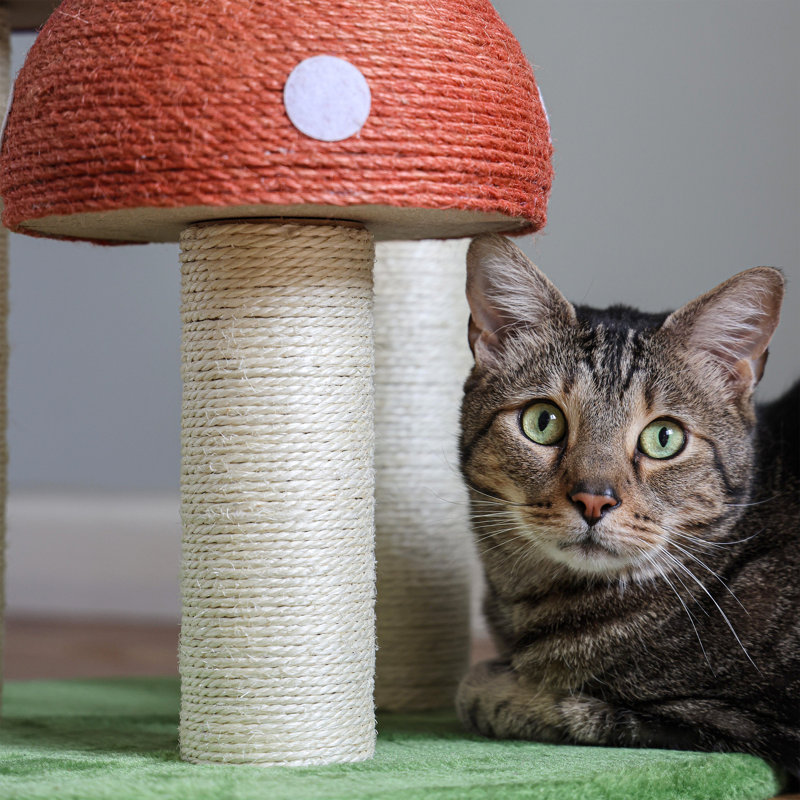 Arbre à chat H 22,5 po Endra, Multi