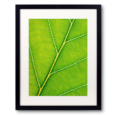 Autumn Leaf by Philippe Monthoux