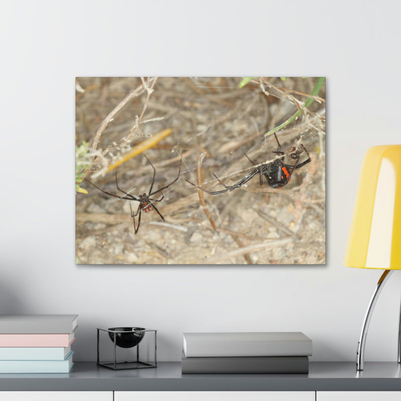 No Frame Print on Canvas, 27.94cm H x 35.56cm W