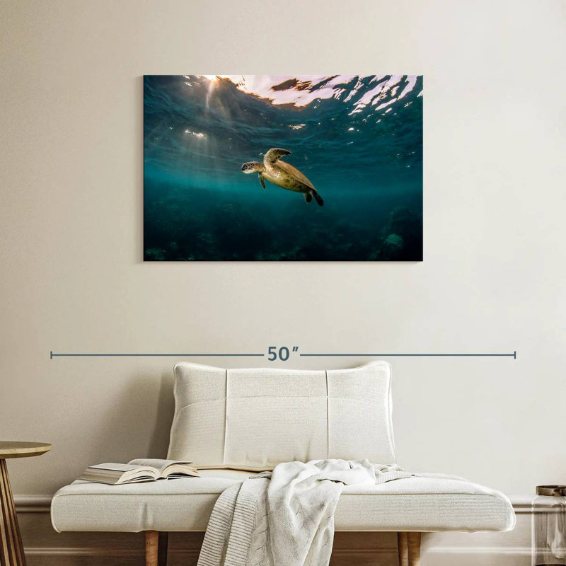 Ningaloo Reef Sea Turtle, 24" H x 36" W