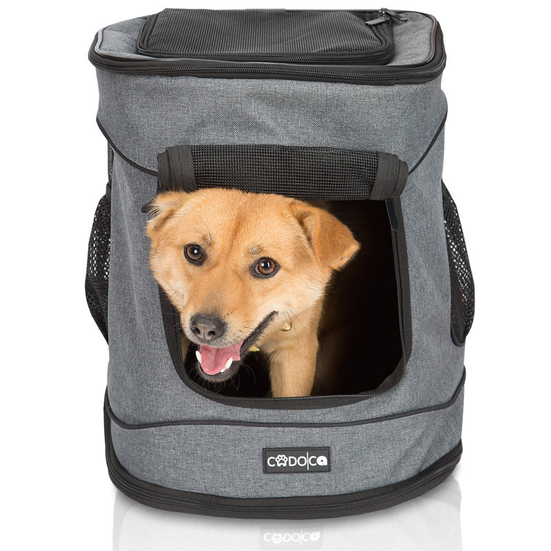 Kendleton Pet Carrier with 1 Door, Grey/Brown/Blue
