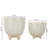 Tierney Ceramic Pot Planter