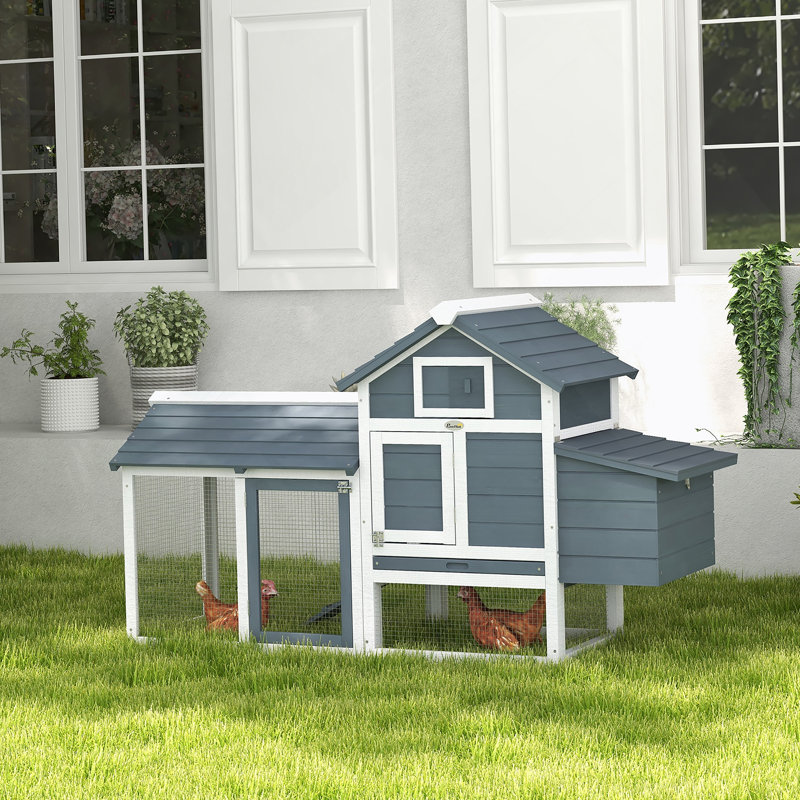 Poulailler durable et fonctionnel pour l'extérieur, idéal pour les petits groupes, Gris / Blanc