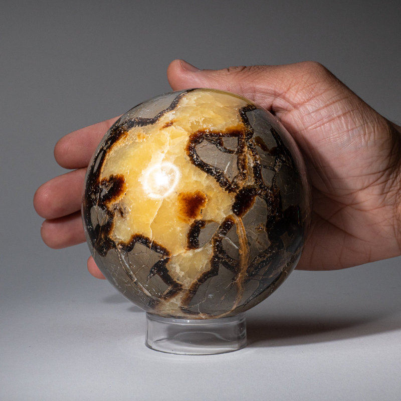 Genuine Polished Septarian (2") Sphere from Madagascar, 3.75" H x 3.75" W x 3.75" D, Yellow Calcite/Brown Aragonite/Gray