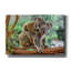 Koala ', art mural sur toile-1054651169