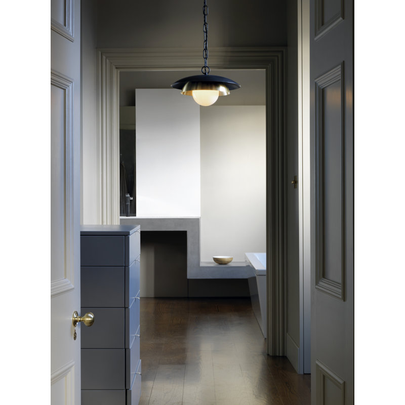 Carapace 1 - Light Pendant