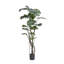 Fausse plante 71 po Karine