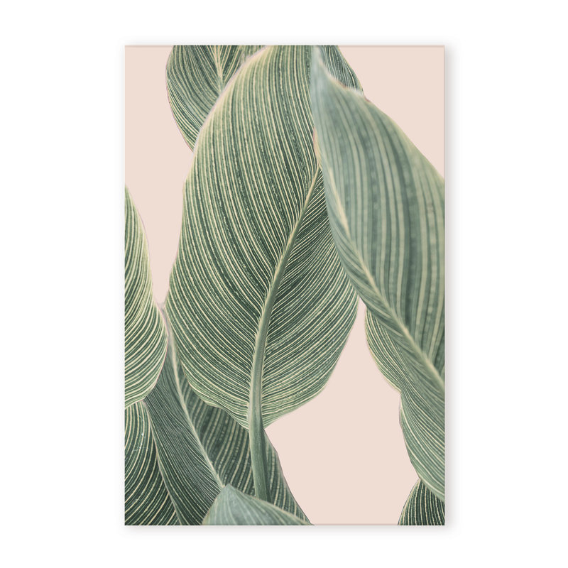 «Coastal Retreat Calla Leaf» par Kathrin Pienaar - Œuvre d'art encadrée sur papier, 36" H x 24" W x 1.5" D, Wrapped Canvas