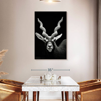Antilope à cornes Brampt