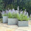 Ensemble de 3 pots à fleurs rectangulaires de 19,75 po Merton Acanthus
