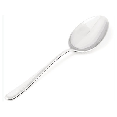 Caccia Stainless Steel Serving Spoon