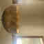 Photos des clients 1 de 3