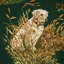 Dog & Duck Fabric-249433526