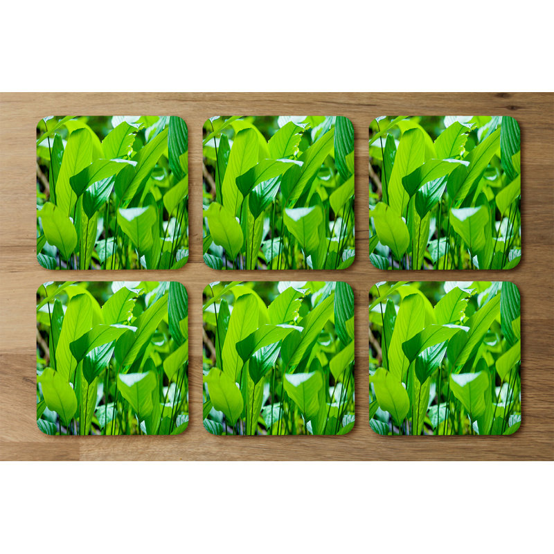 Draedyn Square 6 Piece Coaster Set