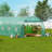 Walk-in Tunnel Greenhouse Galvanized Frame PE Cover-102299557-102299563