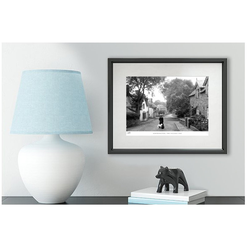 Ashprington, The Village 1905 - Single Picture Frame Print, 28cm H x 36cm W x 2.3cm D