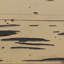 Poutre de plafond 3 côtés Pecky Cypress Endurathane-105283605-105283602-96286952