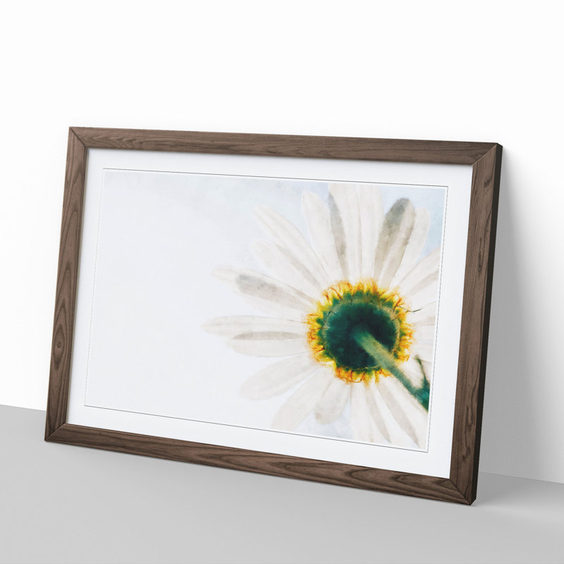 White Daisy Vol.1 Painting - Picture Frame Graphic Art, Walnut, 27cm H x 36cm W x 2cm D