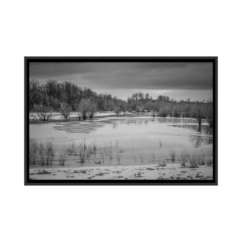 « winter humide ii », reproduction de photo sur toile, H 18 po x l 26 po x P 1,5 po, Toile avec cadre noir