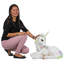 Statue licorne à reposer magique sparkle mystical