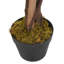 Faux Wisteria Tree in Pot-1737699175
