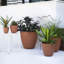 Jardinière intérieure / extérieure en plastique recyclé Dayton avec soucoupe attachée-1215370455-1262089972