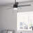 Bardot 52" 5 - Blade Ceiling Fan With Lights and Pull Chains-85433814