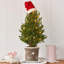 Santa Hat Tree Topper