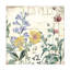 Art sur toile «Bachelor Sasha Mirabelle II»-104104454