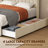 Jeilyn Upholstered Platform Drawer Storage Bed-719713665-715103003