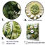 Blossuming Herbs Dream, reproduction d'art sur toile-245902930-245902933